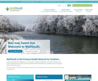 wellsouth portfolio page photo