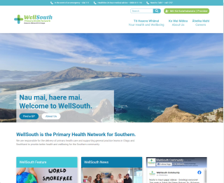 wellsouth portfolio page photo